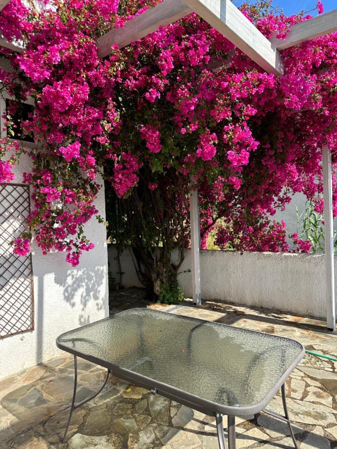 Villa Pinelopi กาลามาตา ภายนอก รูปภาพ